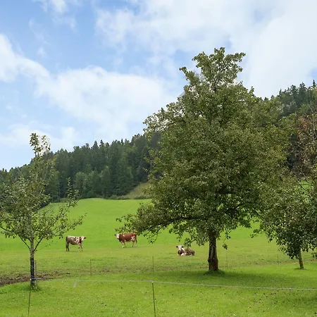 Hundsbachhof Appartement *